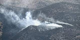 وزير الزراعة: الجيش "الاسرائيلي" حرق أكثر من 40 ألف شجرة زيتون معمرة