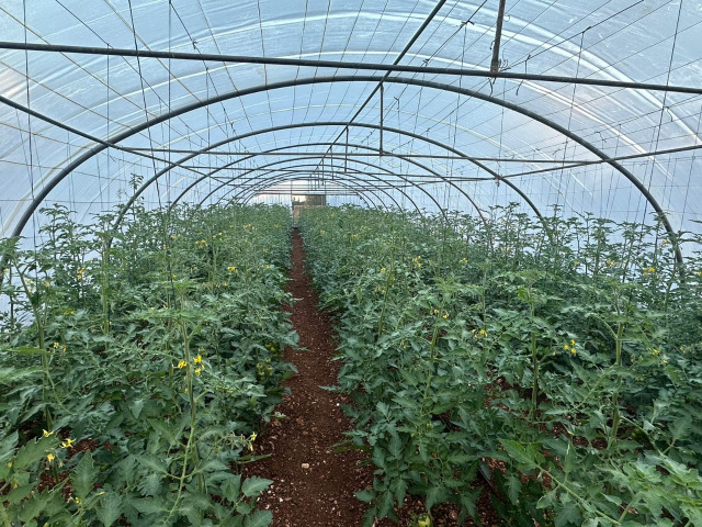 نشاط لجنة التنمية الزراعية لـ"الحزب" في قطاع صيدا خلال شهر شباط 2024