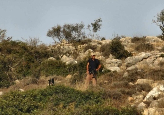 مستوطنون يهاجمون قاطفي الزيتون غرب سلفيت في الأراضي الفلسطينية المحتلة