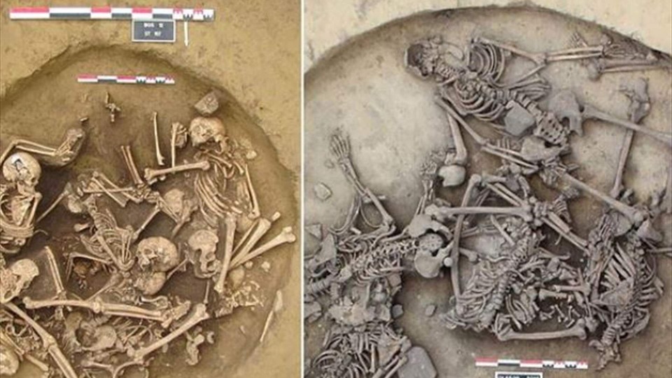 اكتشاف مروّع يذهل العلماء في فرنسا