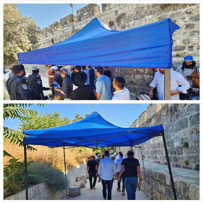 بالصور - يتقدمهم المتطرف بن غفير: أكثر من 2300 مستعمر يقتحمون المسجد الأقصى