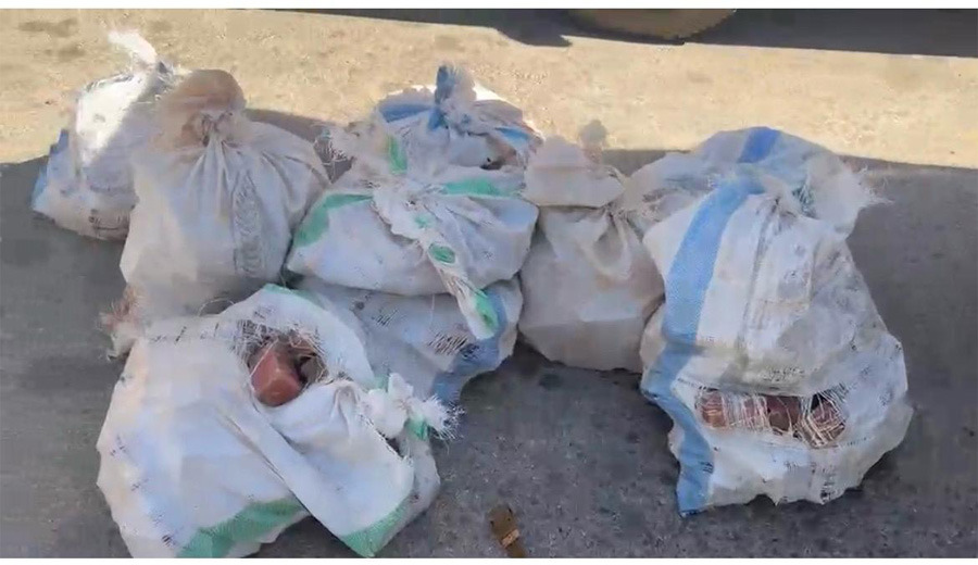 عبوات ناسفة وTNT... الجيش يحبط تهريب شحنة متفجرات من سوريا إلى لبنان