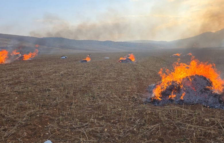 الجيش: تلف 180 دنماً من حشيشة الكيف ومداهمات في بعلبك وعكار