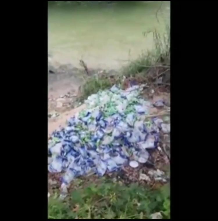 بالفيديو - رمي أكياس لمواد غذائيّة مدعومة على ضفاف نهر الأولى في مدينة صيدا