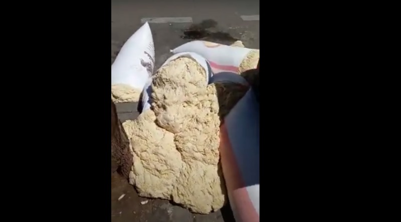 فضيحة بالفيديو: كمية كبيرة من عجينة الخبز مرمية في النفايات في بيروت واليكم السبب! * خاص جنوبيات
