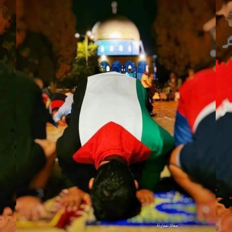 أبطال المسجد الأقصى يكتبون تاريخ فلسطين بالدماء