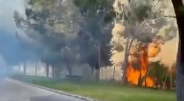 بالفيديو.. اشتعال النيران في محيط مستوطنة "التلة الفرنسية" في القدس المحتلة