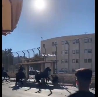 بالفيديو: الشباب الفلسطيني يطردون خياله اليهود الصهاينة بالقرب من باب العامود