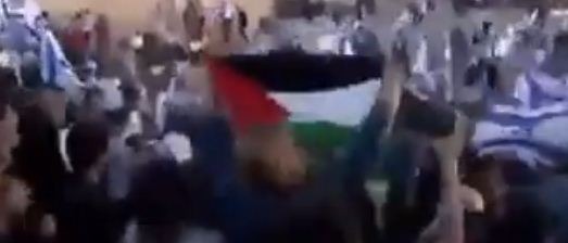 بالفيديو: رفعت علم فلسطين.. أرملة الفتحاوي عثمان أبو غربية تتعرض لاعتداء عنيف من الاحتلال