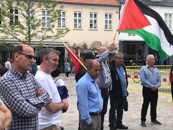 مسيرة تضامنية مع فلسطين في مدينة فايلي الدنمركية