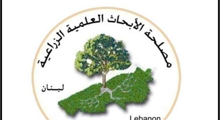 LARI: متحور دلتا وصل الى لبنان وبدأت أعداد الاصابات بالارتفاع