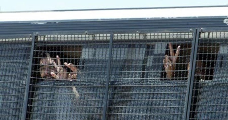 أسيران من جنين يدخلان عاميهما الـ 20 في سجون الاحتلال