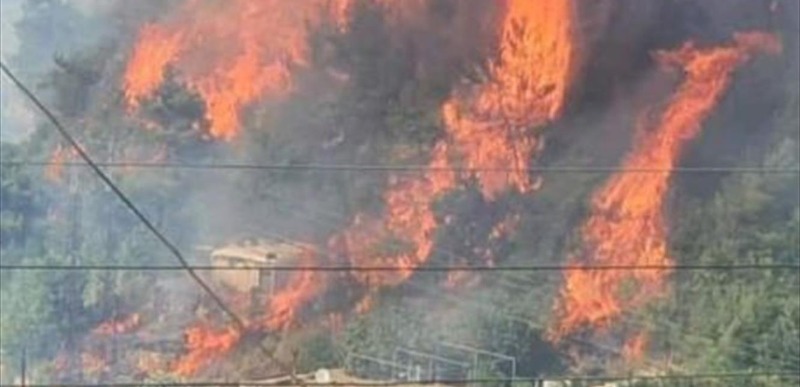 حريق هائل يضرب عدلون.. والأهالي يناشدون الدفاع المدني للتدخل