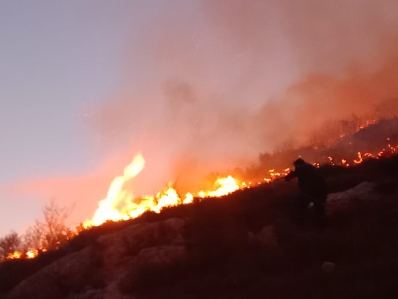 فرق الإطفاء تفقد السيطرة على حريق في وادي العزية ومناشدة للجيش اللبناني واليونفيل إرسال طوافات للمساعدة
