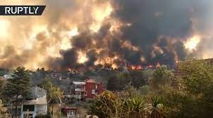 في الأرجنتين.. حرائق تلتهم آلاف هكتارات الغابات