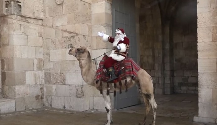 بالفيديو - "بابا نويل" القدس يجوب أحياء المدينة القديمة على ظهر جمل ويوزع أشجار العيد