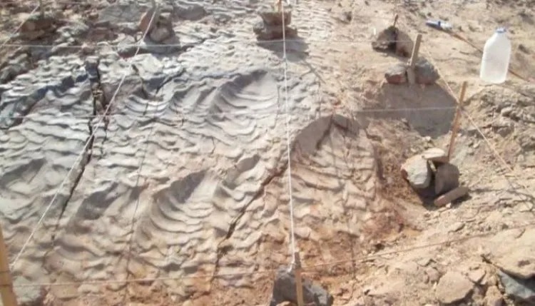 العثور على آثار ديناصورات في جبل لبنان!