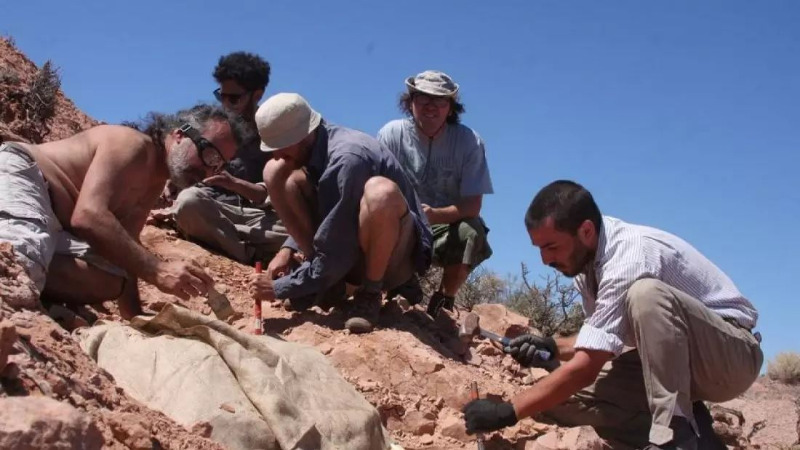 الكشف عن بقايا ديناصور صغير مدرّع في الأرجنتين عمره 100 مليون عام
