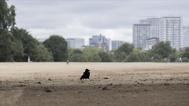 بريطانيا تشهد السنة الأكثر جفافاً منذ 1976
