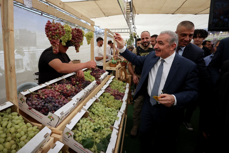 رئيس الوزراء اشتية يفتتح مهرجان العنب التاسع في حلحول: ستبقى الحكومة الداعم الأول للمزارع الفلسطيني
