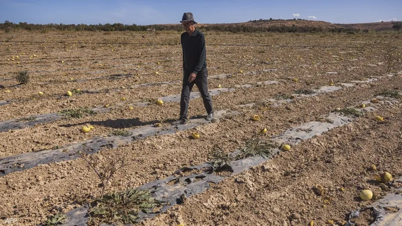 المغرب يمر بأصعب مرحلة جفاف منذ 30 عاماً