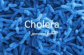 “الكوليرا” في لبنان… تتخطى 2000 إصابة في 17 منطقة