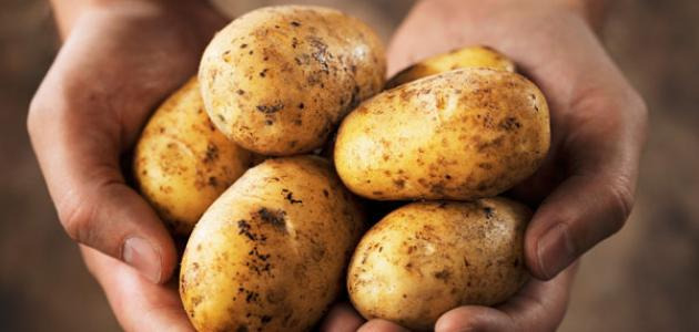 كيف يمكن أن تساعدك البطاطس على إنقاص الوزن!