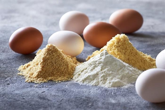 "البيض البودرة".. ما هو؟ وما هي استخداماته وفوائده؟