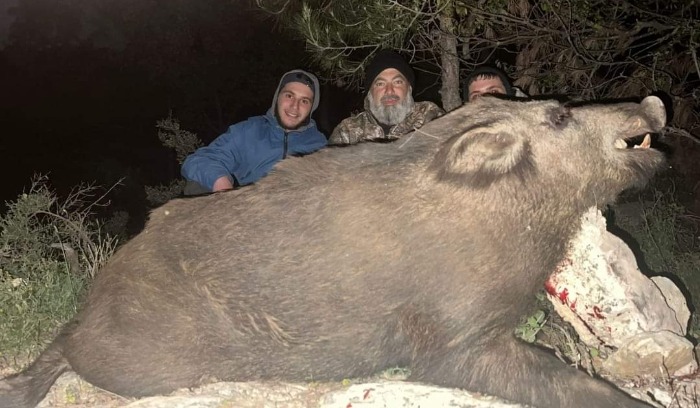 بالصورة.. اصطياد خنزير بري ضخم في الضنية.. وزنه 350 كيلوغراما!