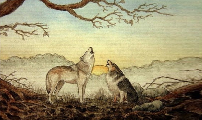 "الذئب الكاسر والكلب العاثر"