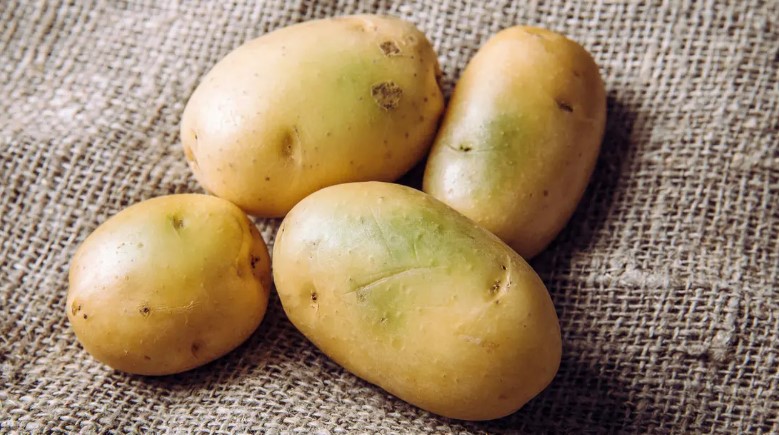 ما سر ظهور البقع الخضراء على البطاطس وما مدى خطورتها؟