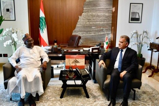 اللواء إبراهيم استقبل سفير نيجيريا وبحثا في المستجدات اقليميا ودوليا