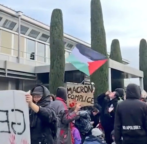 بالفيديو - رافعين أعلام فلسطين ... مئات المتظاهرين في سويسرا يحتجون على زيارة ماكرون
