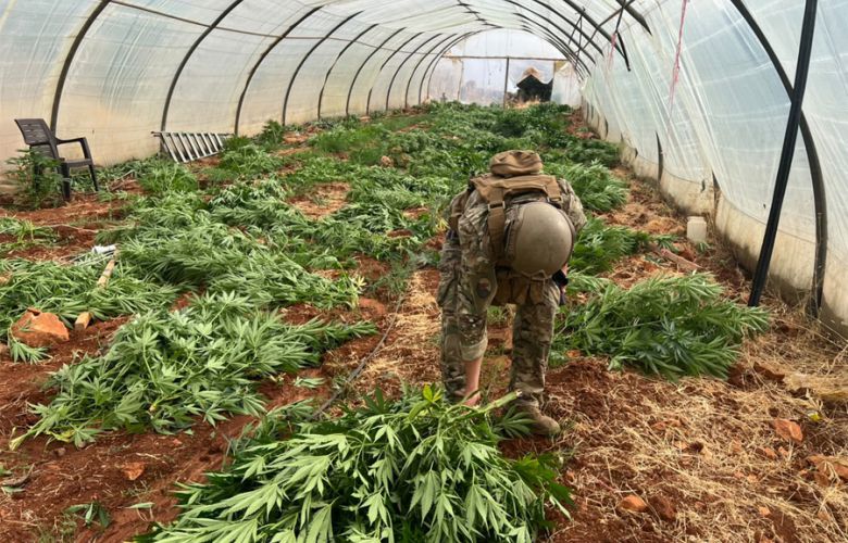 الجيش يضبط كمية من المخدرات ويتلف 14 خيمة مزروعة بالماريجوانا